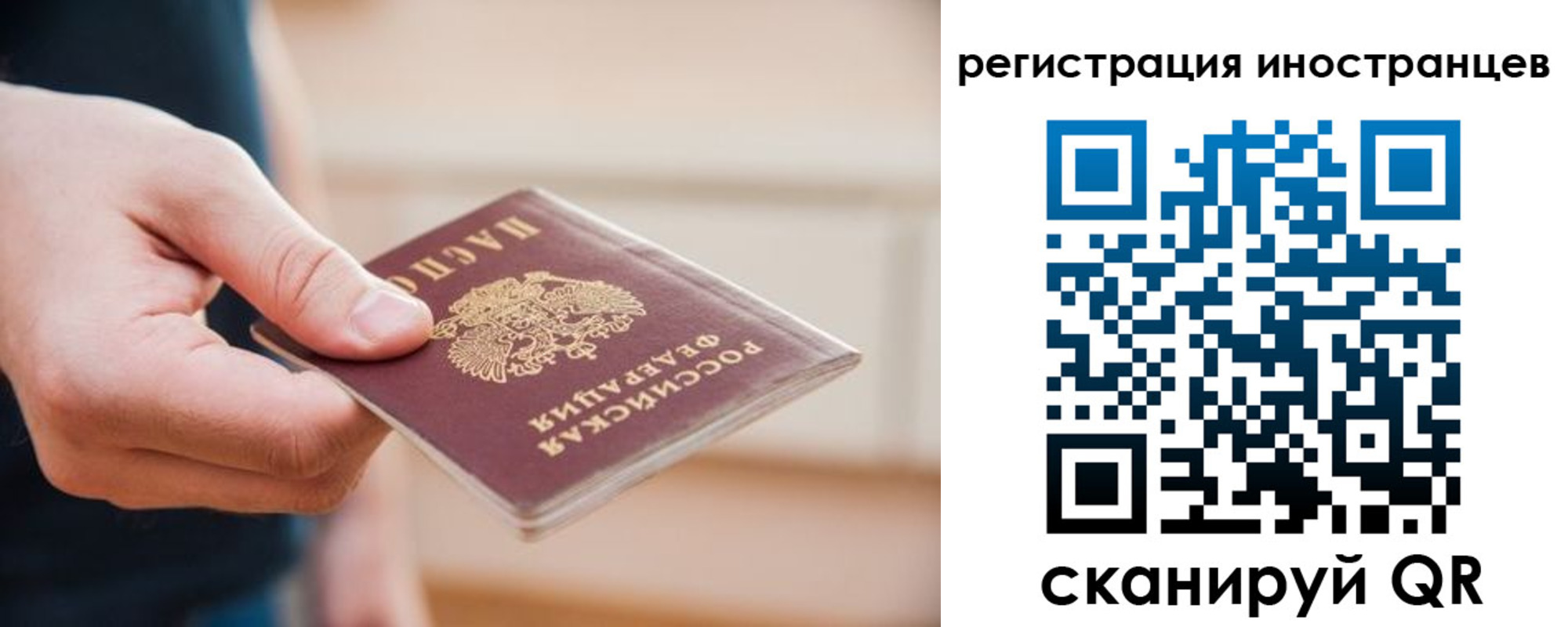прописка гарантия в Ртищево